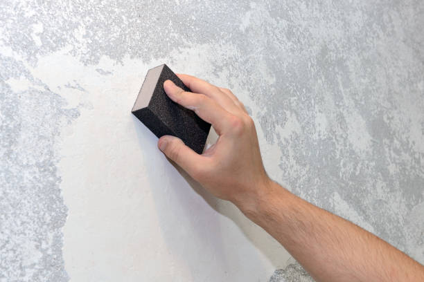 Best Dehumidification Services  in Belle Glade, FL