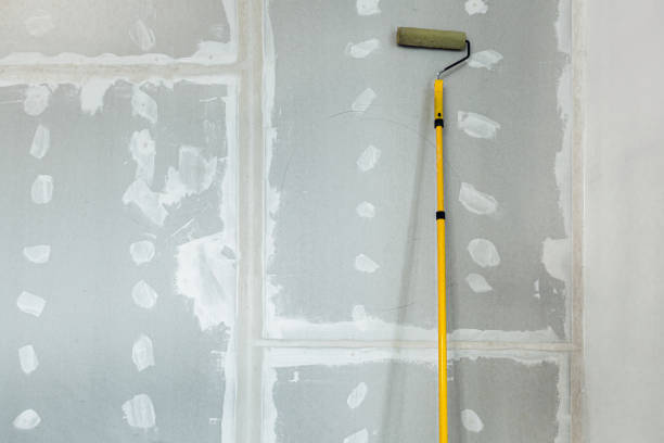 Best Mold Prevention Services  in Belle Glade, FL