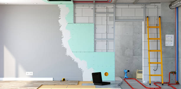 Mold Documentation for Insurance Claims in Belle Glade, FL