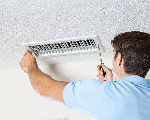 Best Mold Remediation for Healthcare Facilities  in Belle Glade, FL